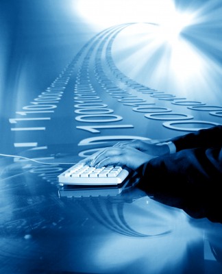 Information technology consultant at work